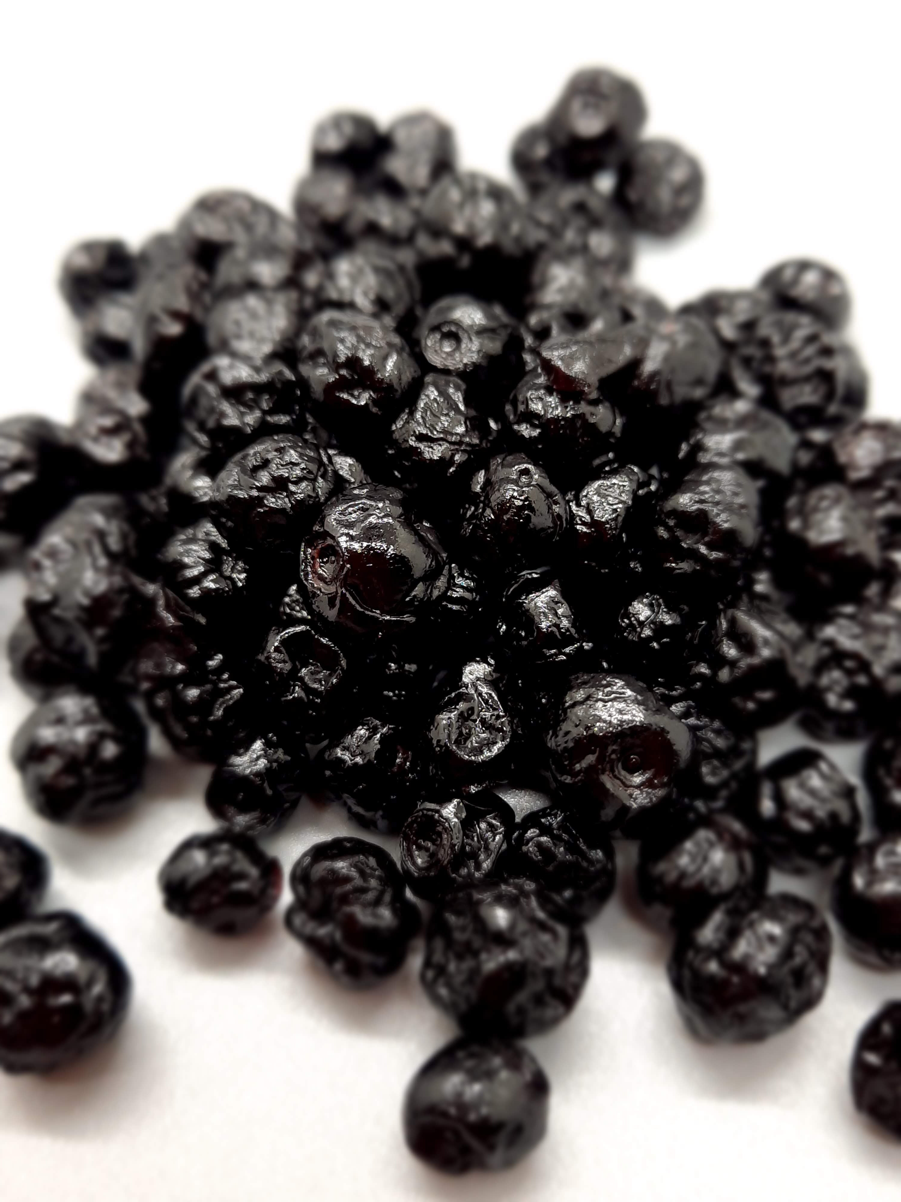 NEW Dark Chocolate Alegria Bites w/ Blueberries + Cacao Nibs