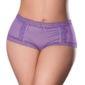 Sheer Passion Cheeky Hipster Boy Short (Very Peri) (Queen Size)