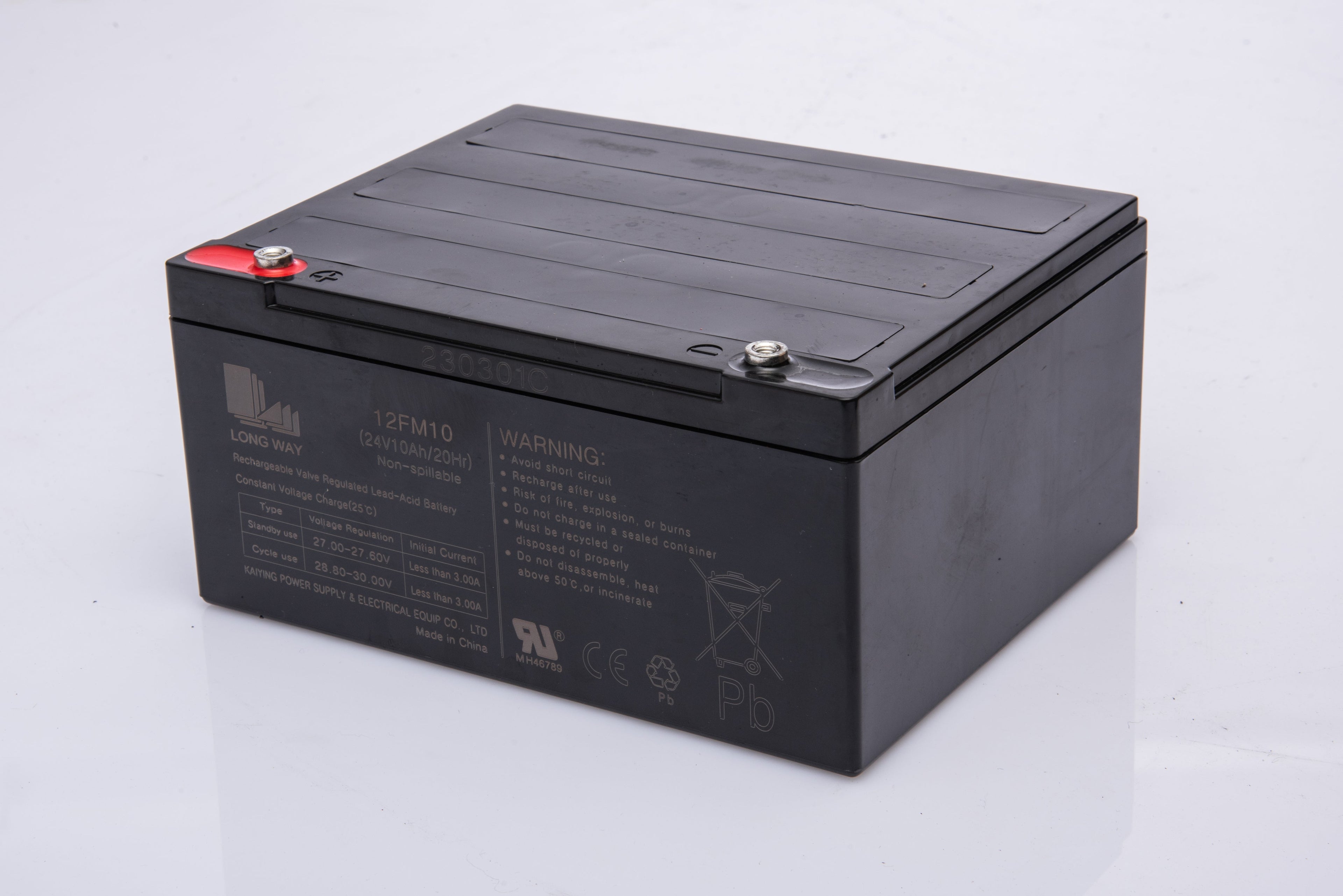 Dune Buggy Beast (24V) - Battery