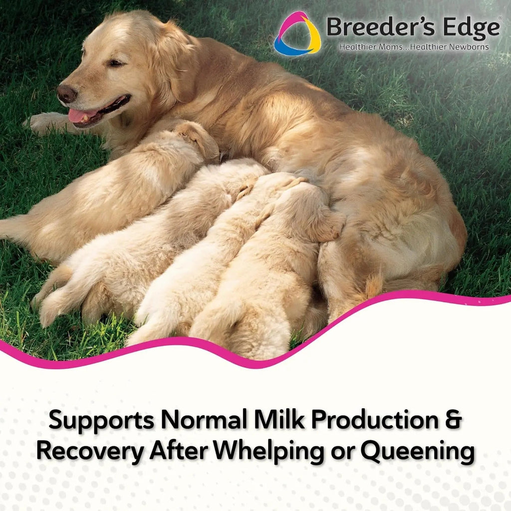 Postnatal Soft Chews for Lactating Dogs & Cats, Breeder Support, 40 Ct