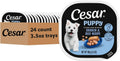 Cesar Puppy Classic Wet Dog Food Chicken & Beef or Variety Pack 3.5oz 24ct