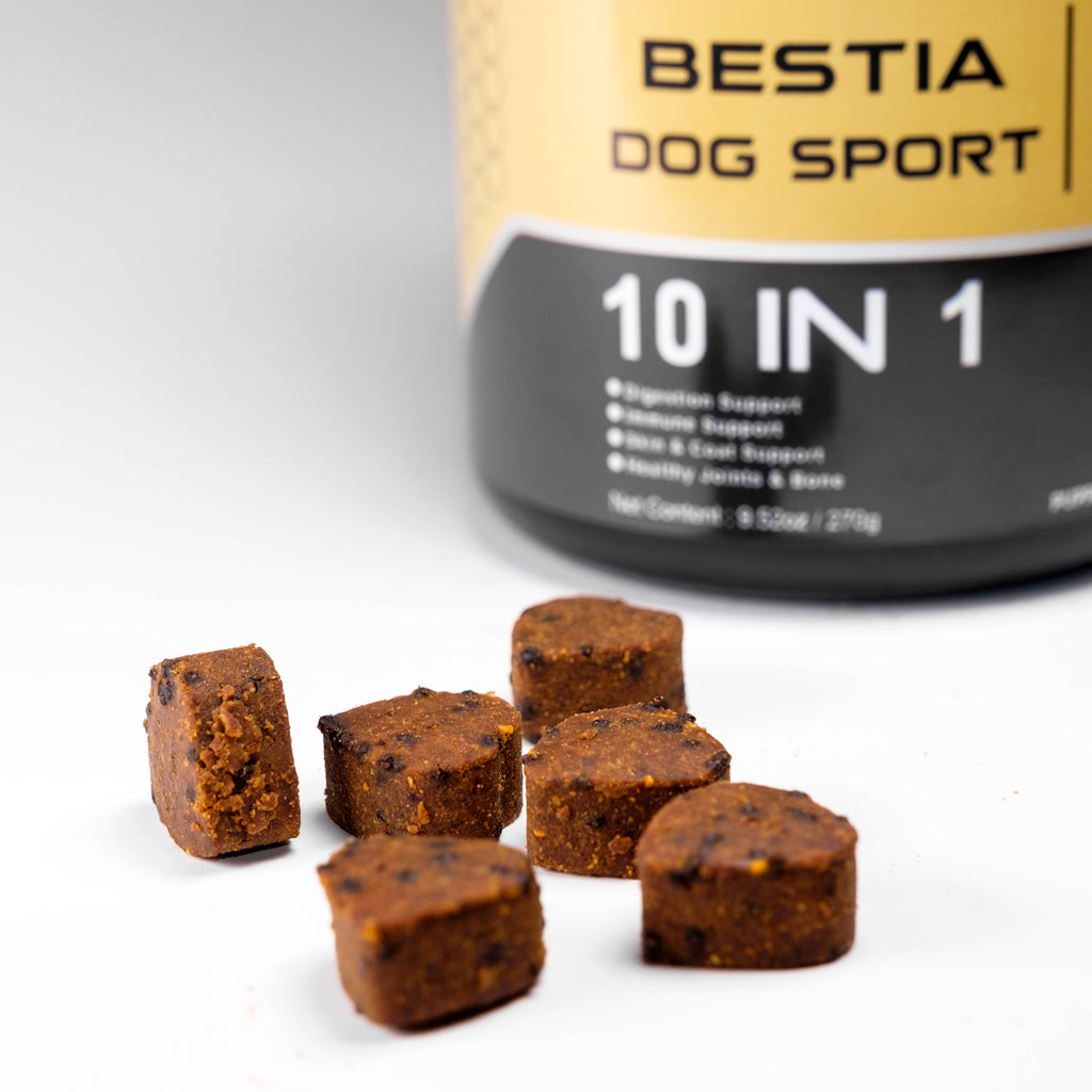 BDS 10 in 1 Dog Food Supplement