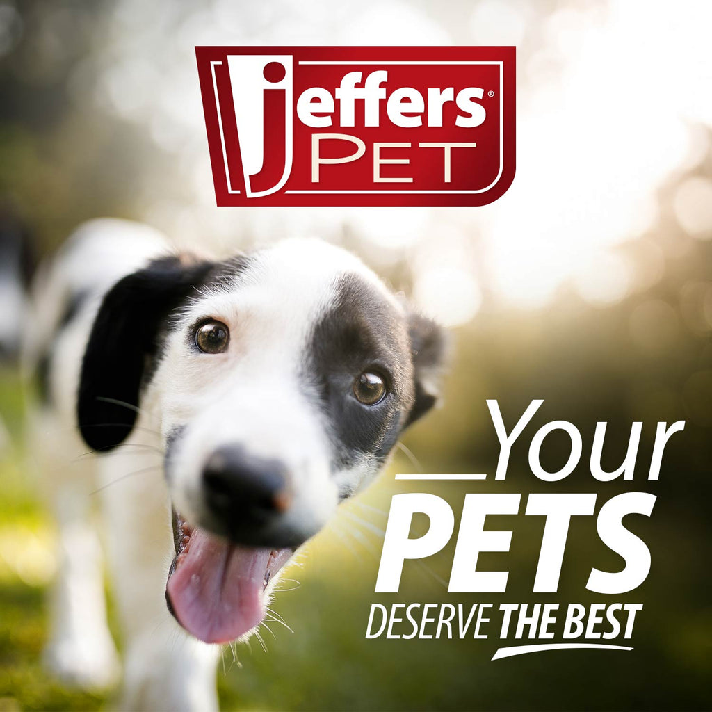 Jeffers Bowling Pin Natural Rubber Treat Dispensing Dental Chew Toy for Dogs
