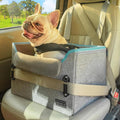 PETSFIT Small Dog Booster Car Seat with Safety Buckles & Tether, Foldable
