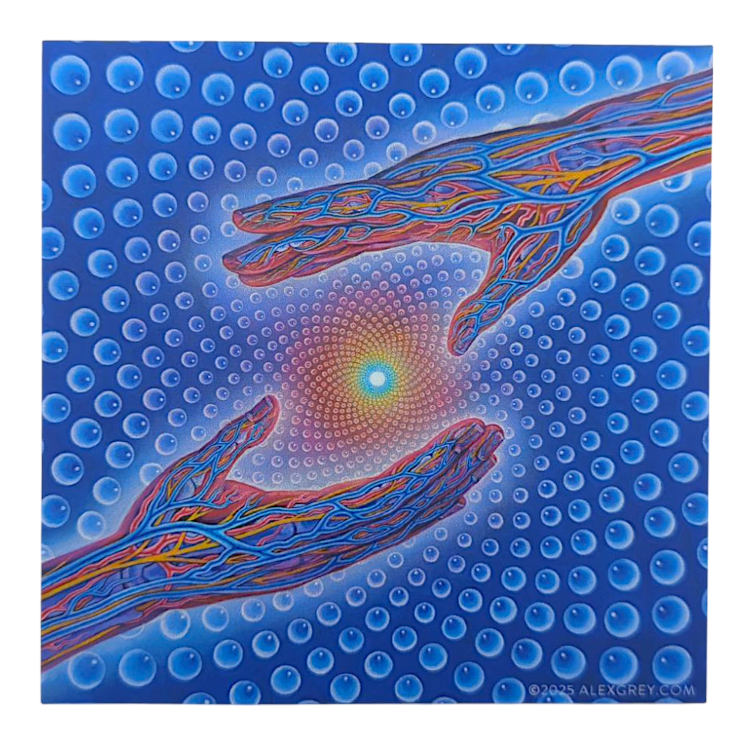Alex Grey Psychedelic Healing Sticker