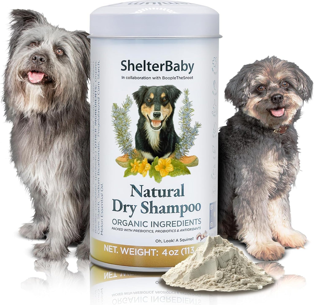Dry Shampoo for Dogs Itchy Skin Paw Licking Allergy Support Powder