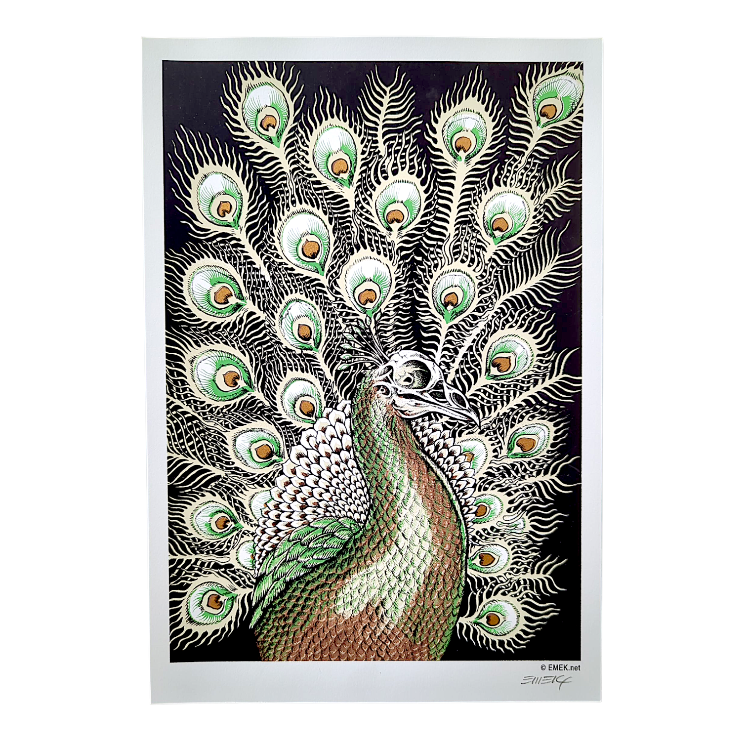 Emek “Peacock” Mini Print