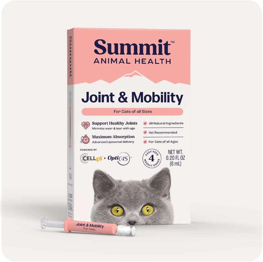 Cat Joint Supplement Chondroitin Mobility Support Natural Formula
