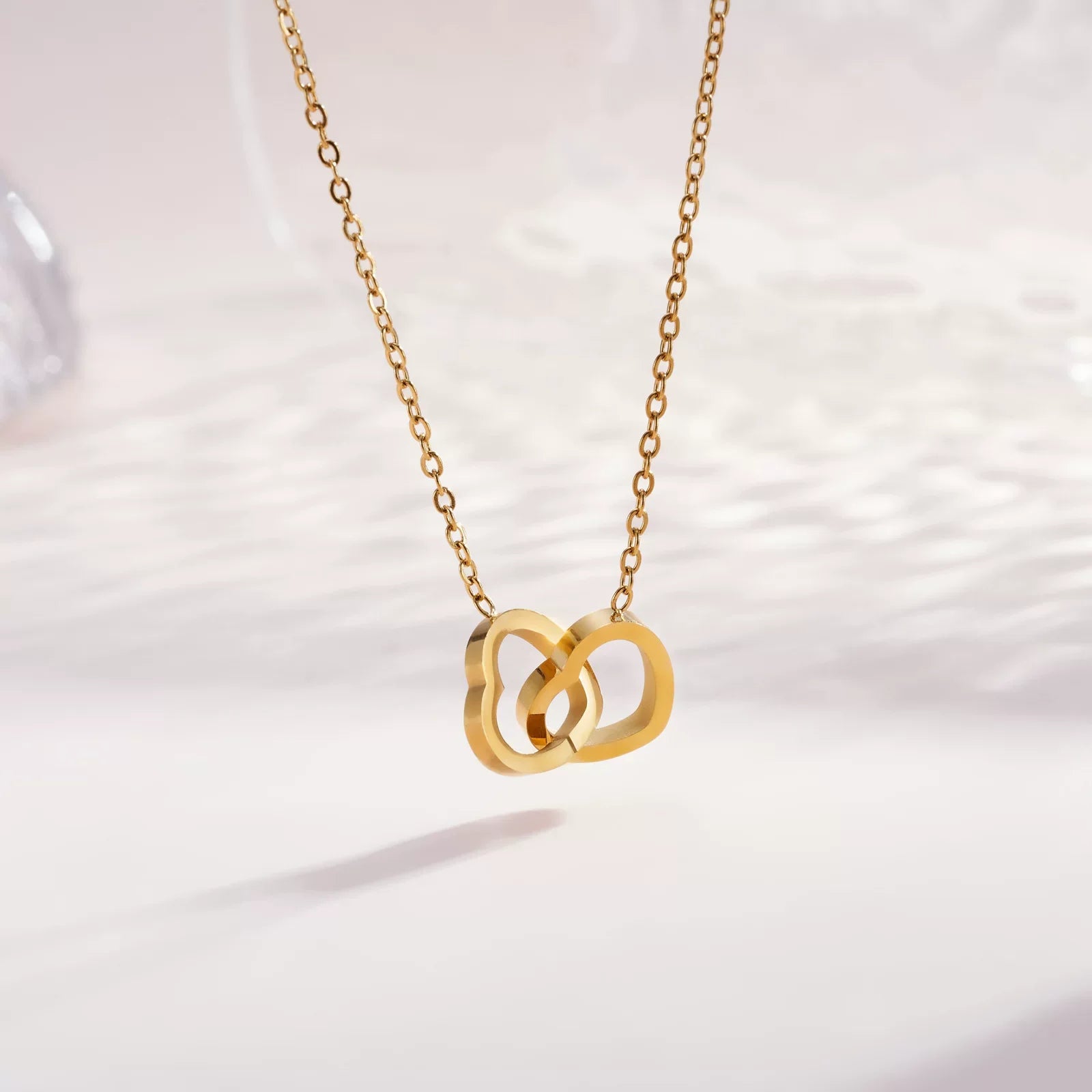 Loyal Titanium Steel Double Heart Day Collar
