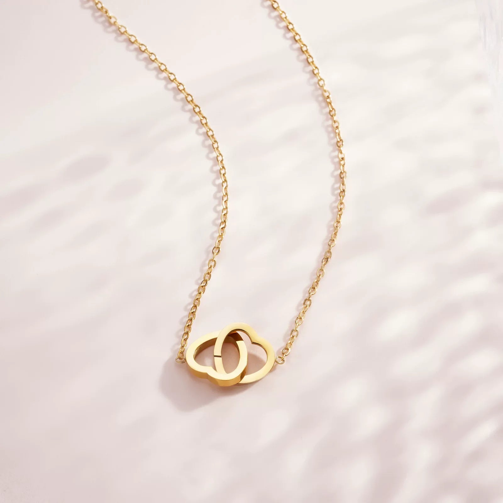 Loyal Titanium Steel Double Heart Day Collar
