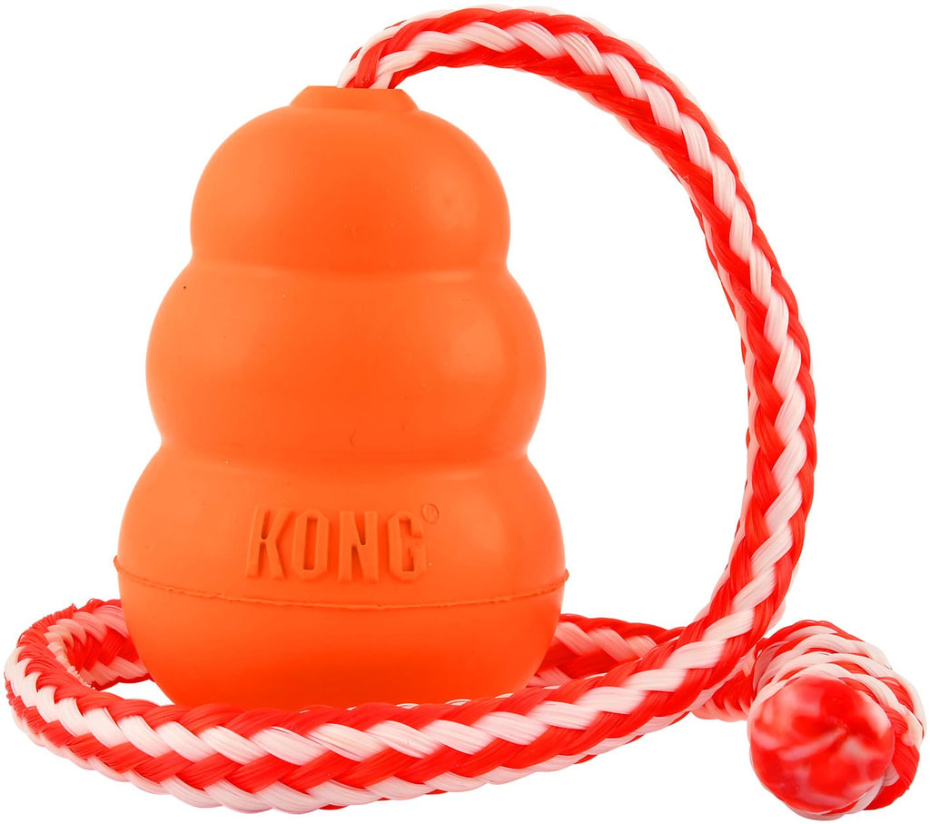 KONG Aqua Floating Water Dog Toy