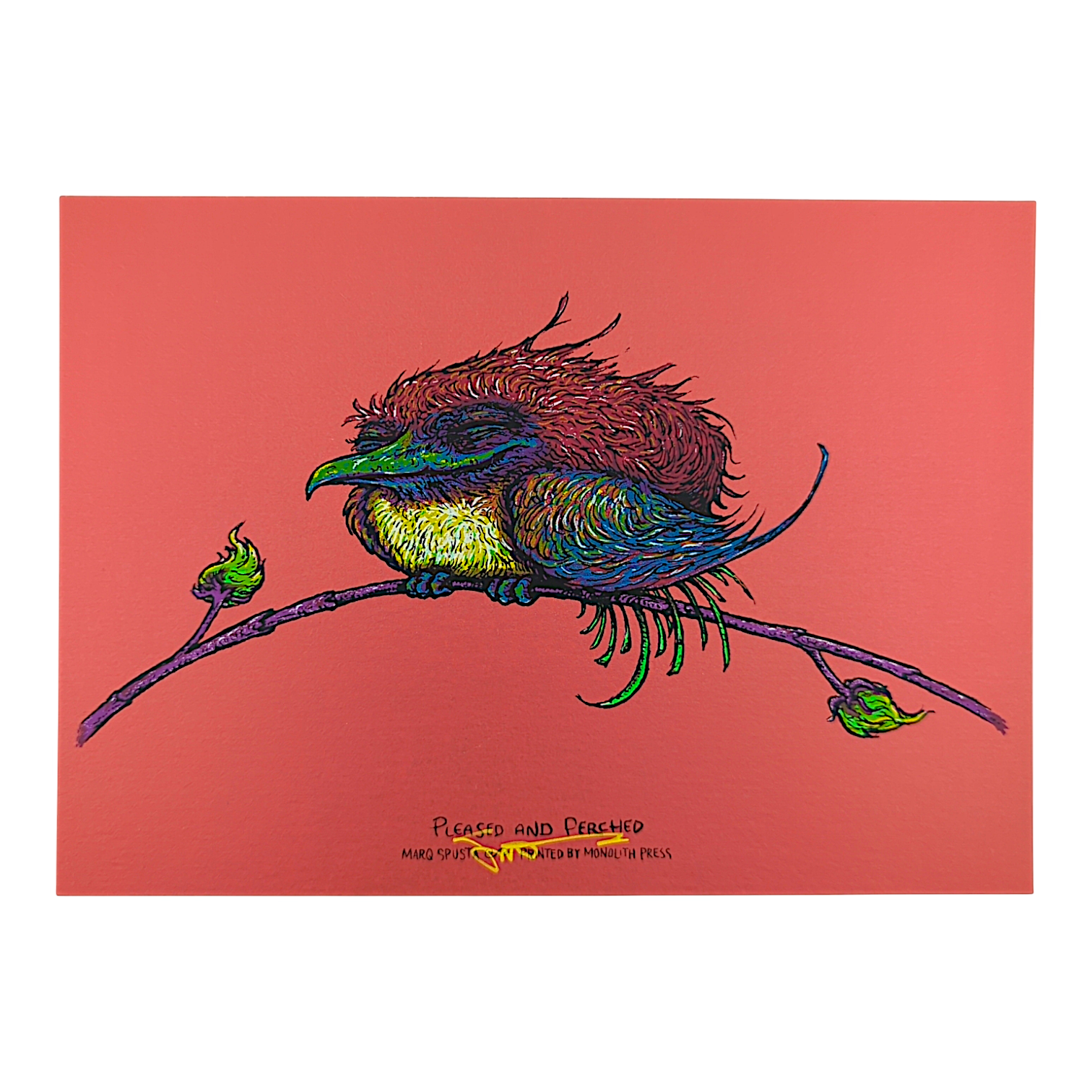 Marq Spusta "Pleased and Perched" (Magma) Mini Print