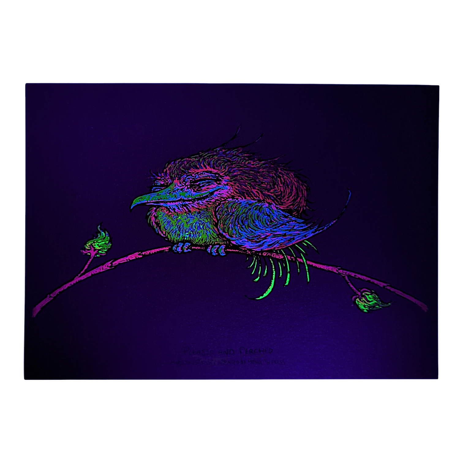 Marq Spusta "Pleased and Perched" (Magma) Mini Print