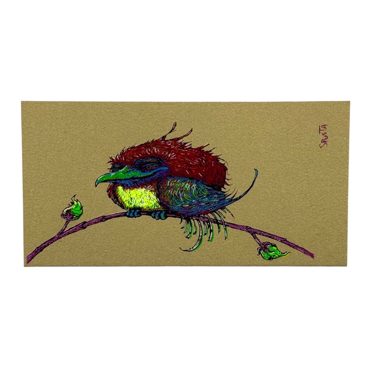 Marq Spusta Pleased and Perched (Listening Gold) Micro Print