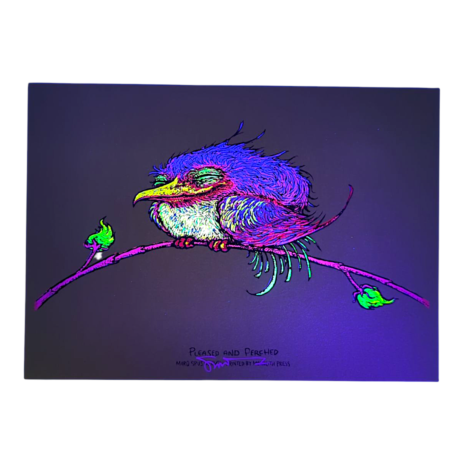 Marq Spusta "Pleased and Perched" (Sticky Yellow/Green) Mini Print