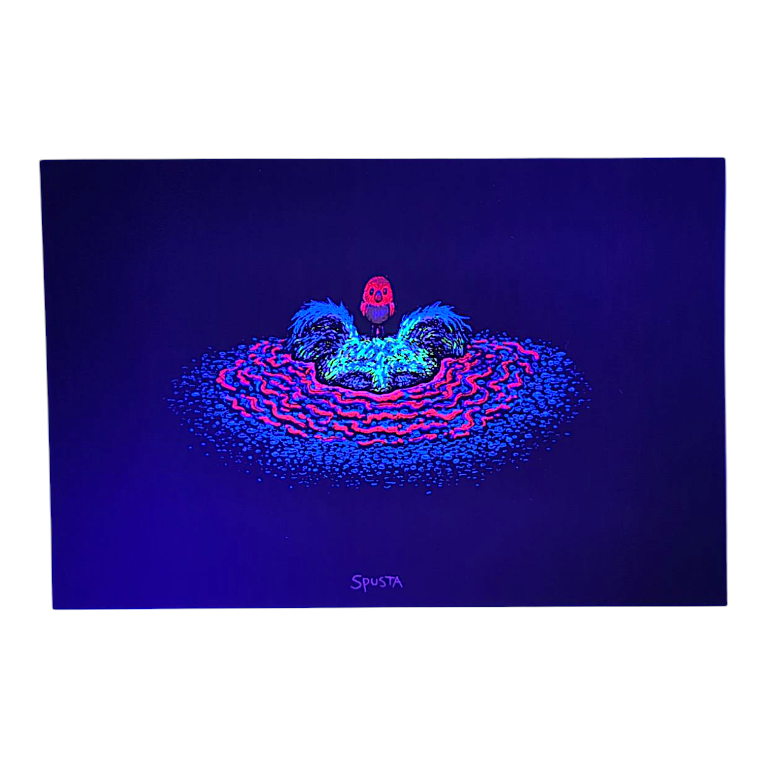 Marq Spusta Two Popping Through (Black) Micro Print