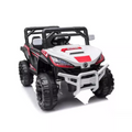 Rev Up the Fun: 12V Electric Ride-On Cars for Kids