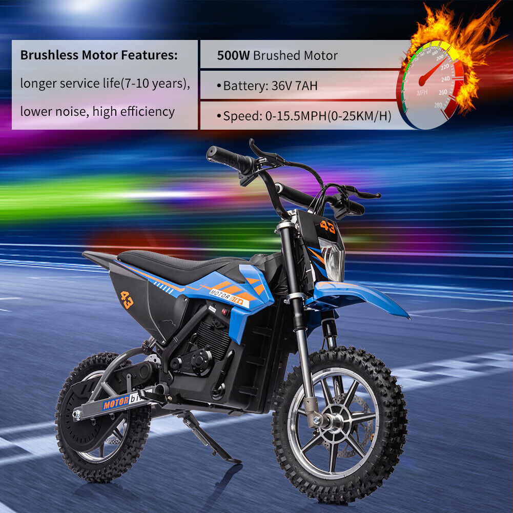 Electric Dirt Bike for Kids with 36V Brushed/Brushless Motor