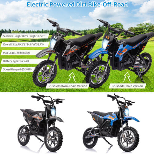 Electric Dirt Bike for Kids with 36V Brushed/Brushless Motor