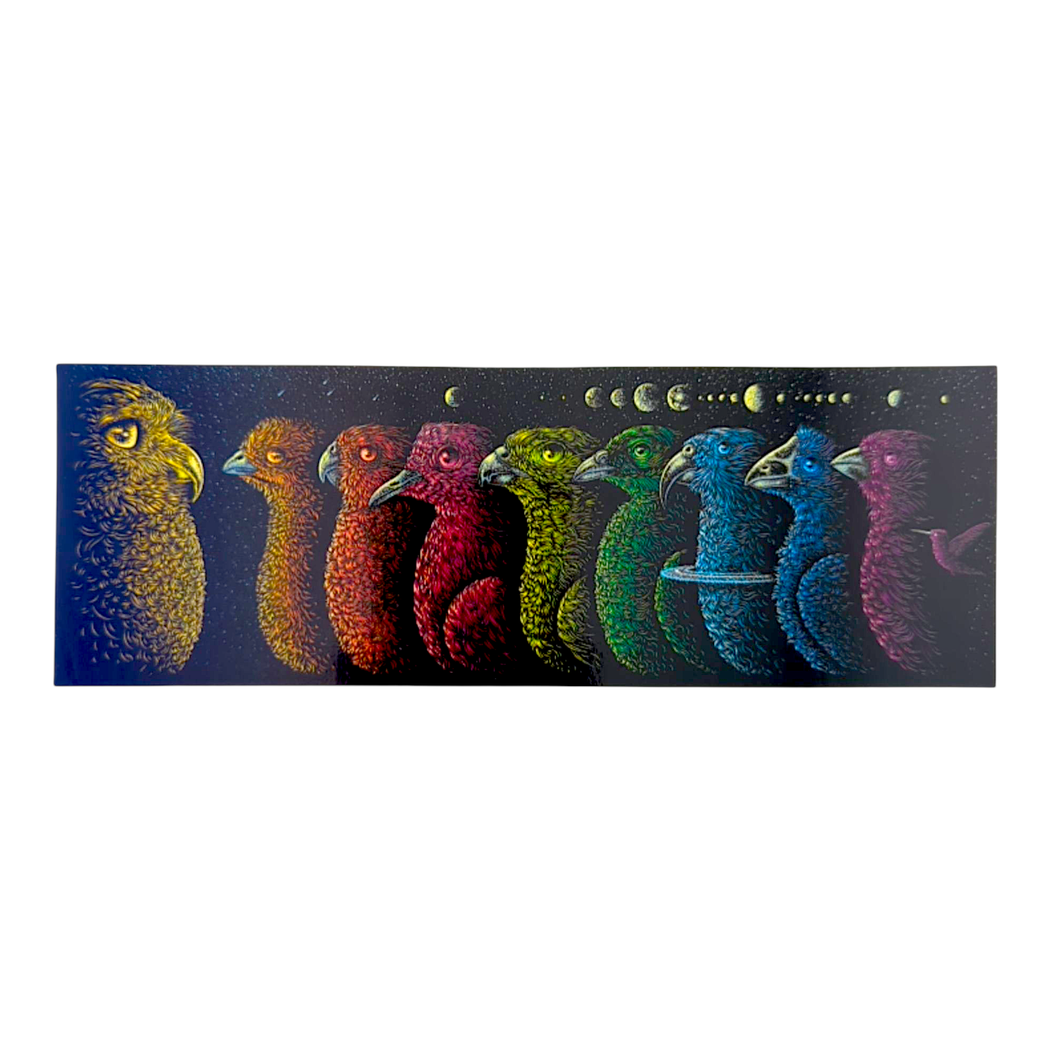 Todd Slater Universe Birds Sticker